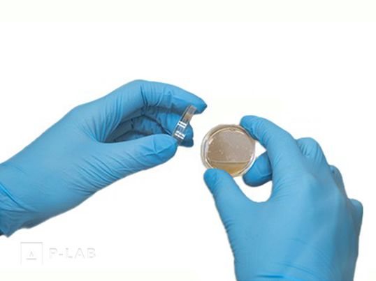 Rukavice duoSHIELD™ PFT Nitrile_3.jpg