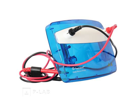 page-protein-system-chamber-lid-with-electrodes.png