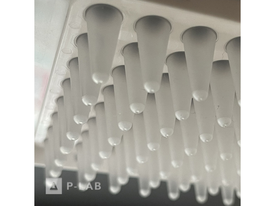 PCR desticka Nippon4.jpg