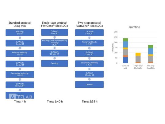 Block & Go_protocol.JPG