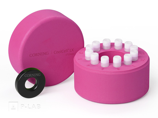 CoolCell LX pink.jpg