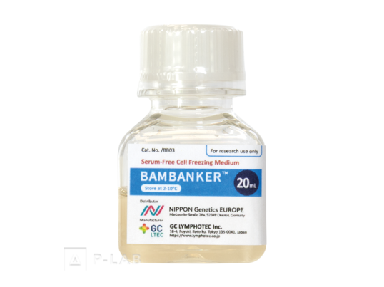 bambanker.png