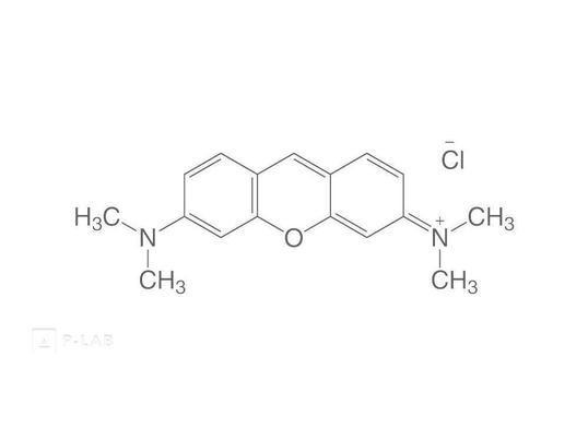 PYRONIN G.jpg