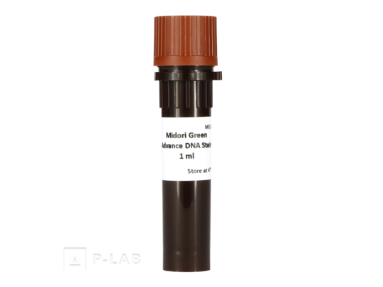 midori-green-advance-mg04-1ml-vial.png