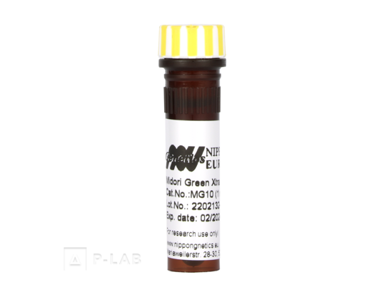 mg10-midori-green-xtra-vial.png