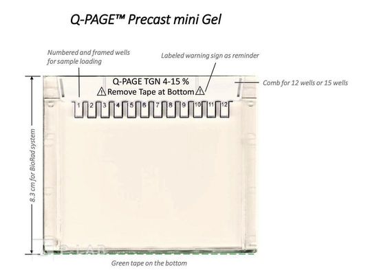 q page mini gradient.jpg