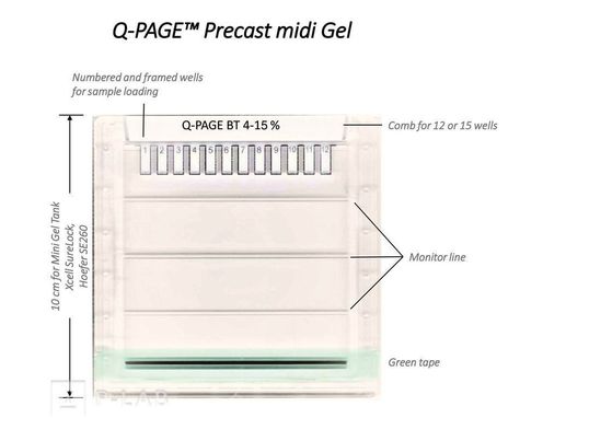 q page midi gradient.jpg