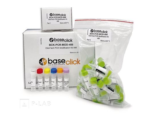 pcr modifikation kit.jpg