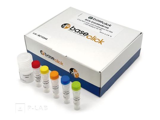 pro zobrazování.jpg