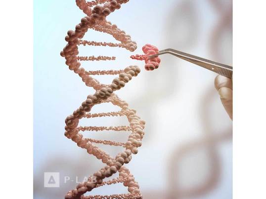 T4 DNA ligáze_NGE.jpg