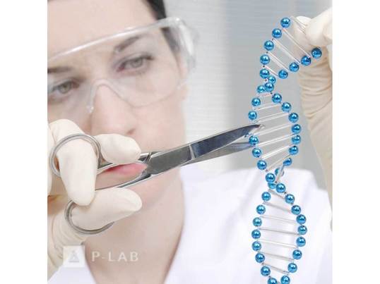 Restriction_enzymes_NGE.jpg