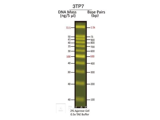 dna markery.jpg