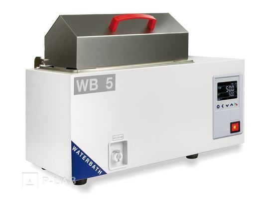 WB-5.jpg