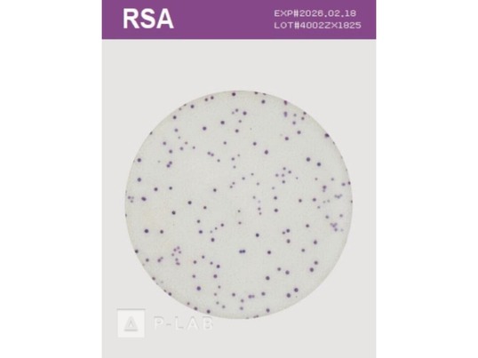 ROTI Easy Count_RSA.jpg
