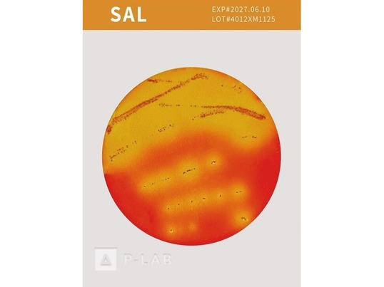 ROTI Easy Count_SAL.jpg