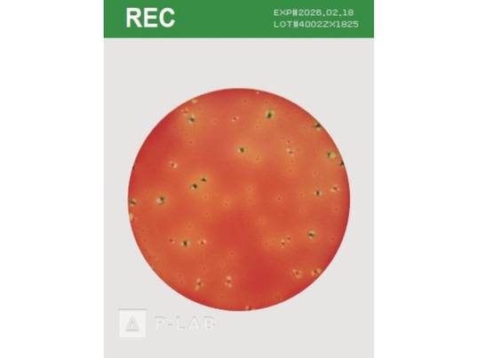 ROTI Easy Count_REC.jpg