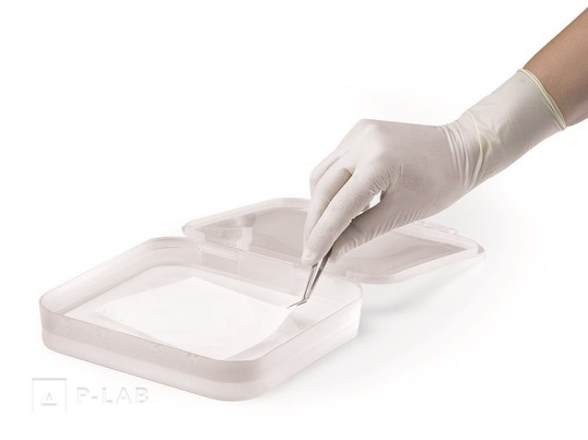 Blotovací membrána ROTI PVDF.jpg