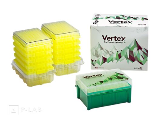 pičky Vertex.jpg
