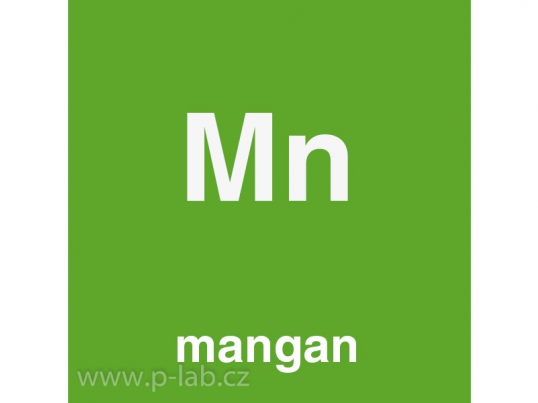 mangan_5452.jpg