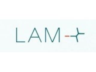 LAM-X